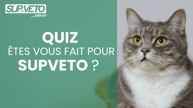 Quiz - etes vous prêt pour la formation d'auxiliaire de service vétérinaire ?