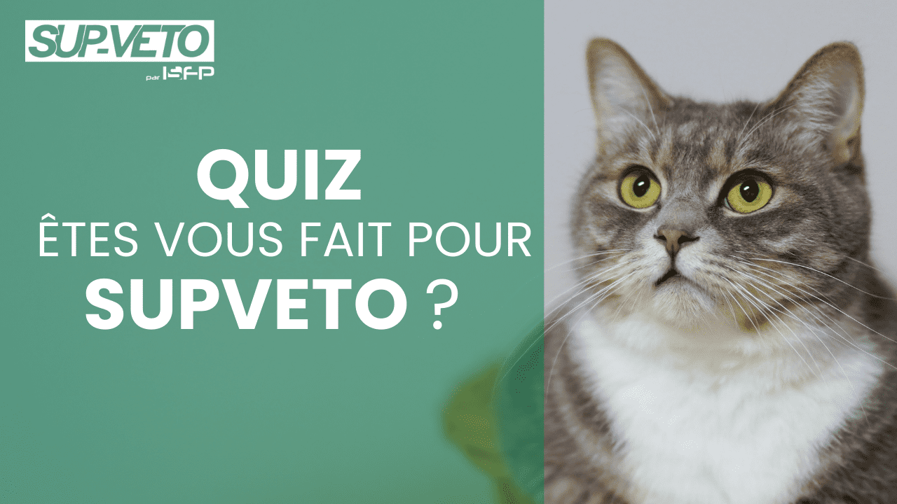 Quiz - etes vous prêt pour la formation d'auxiliaire de service vétérinaire ?